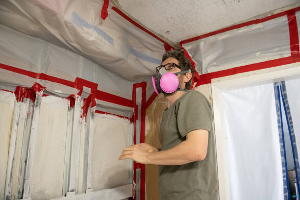 Best Mold-Related Health Consultation  in Sagamore, MA