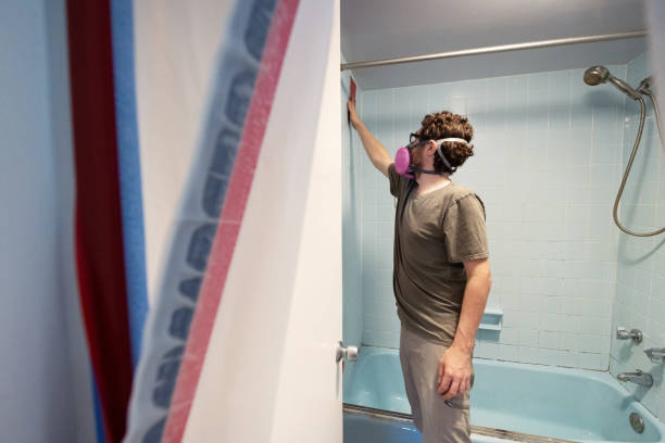 Best Residential Mold Inspection & Testing  in Sagamore, MA